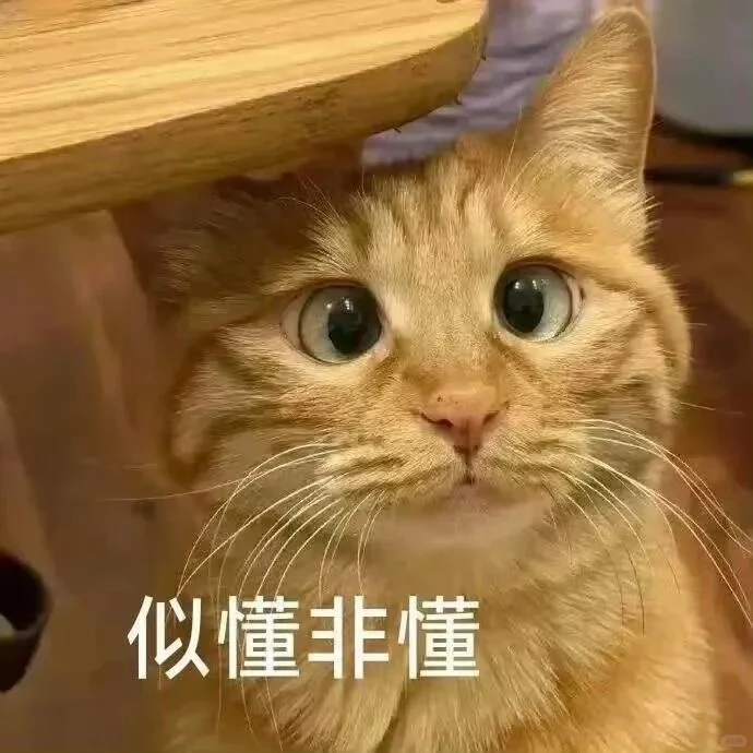 星霖